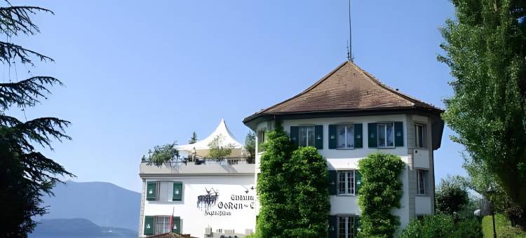 瑞士小木屋梅利斯阿亨 - 浪漫湖边城堡酒店(Swiss-Chalet Merlischachen - Romantik Schloss-Hotel am See)图片