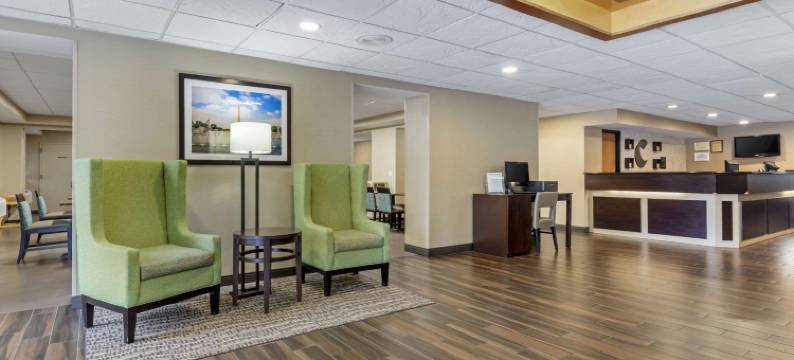 赫恩登 - 里斯顿舒适酒店(Comfort Inn Herndon-Reston)图片