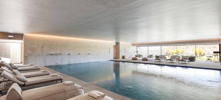 The Lince Santa Clara图片