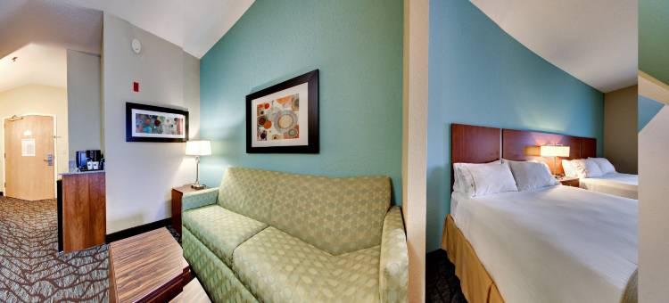 智选假日套房酒店杰克逊维尔(Holiday Inn Express & Suites Jacksonville South - I-295)图片
