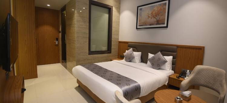 Vishnu Krupa行政房间(Vishnu Krupa Executive Rooms)图片