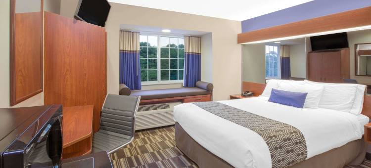 麦尼斯蒂麦客达套房酒店(Microtel Inn & Suites by Wyndham Manistee)图片