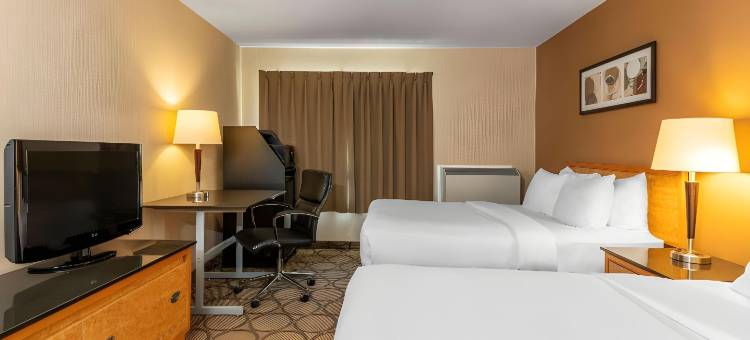 贝勒维尔舒适酒店(Comfort Inn)图片