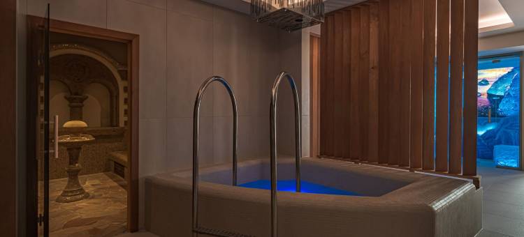 卡泊纳自然酒店(Hotel Carbona Thermal Spa)图片