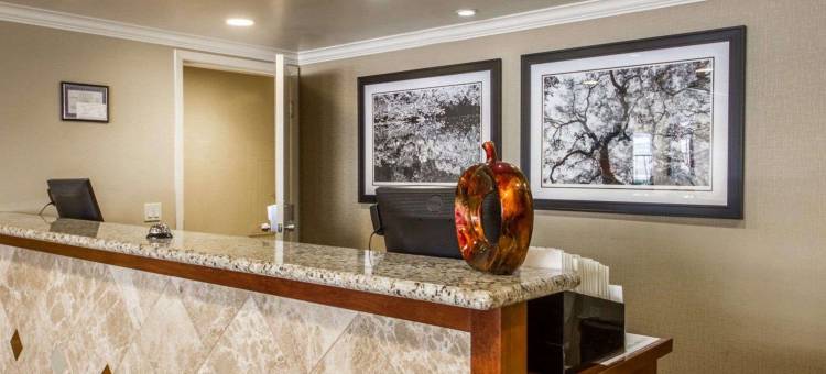 梅德公园酒店-阿桑德连锁酒店成员(Hotel Med Park, Ascend Hotel Collection)图片