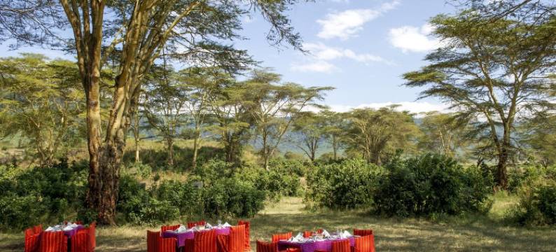 恩戈罗恩戈罗塞雷纳狩猎旅馆(Ngorongoro Serena Safari Lodge)图片