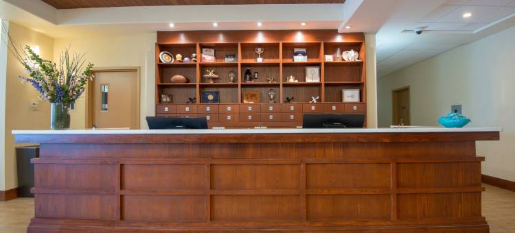 萨斯卡通福朋喜来登酒店(Four Points by Sheraton Saskatoon)图片