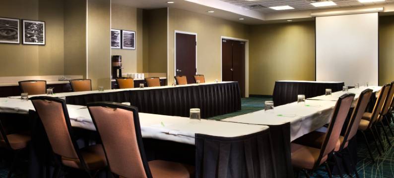 达拉斯沃斯堡国际机场北部／葡萄藤万豪SpringHill酒店(SpringHill Suites Dallas DFW Airport North/Grapevine)图片