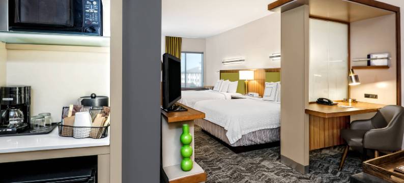 万豪圣安东尼奥海洋世界®/拉克兰万豪SpringHill酒店(SpringHill Suites by Marriott San Antonio SeaWorld®/Lackland)图片