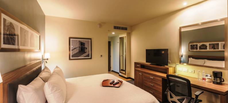 萨拉曼卡巴希奥希尔顿欢朋套房酒店(Hampton Inn & Suites by Hilton Salamanca Bajio)图片