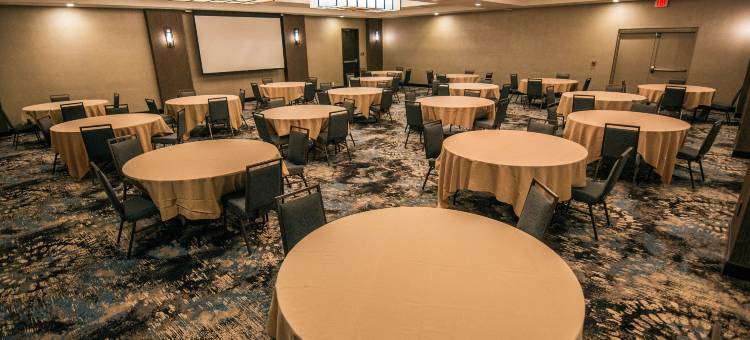 拉伯克大学区希尔顿逸林酒店(DoubleTree by Hilton Lubbock University Area)图片