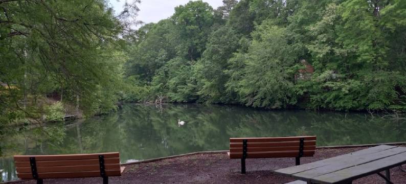 Walk to beach by Busch Gardens, lovely room图片