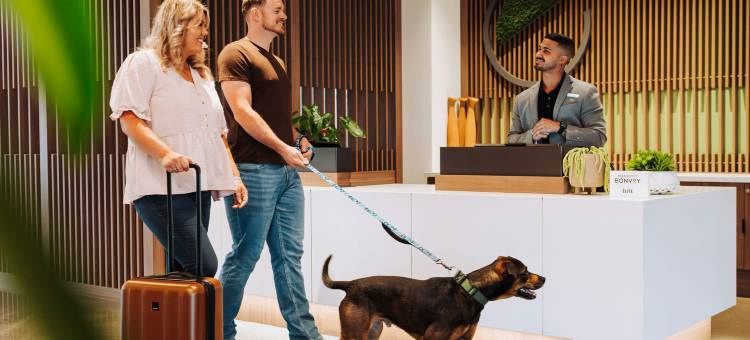 Element Reno Experience District图片