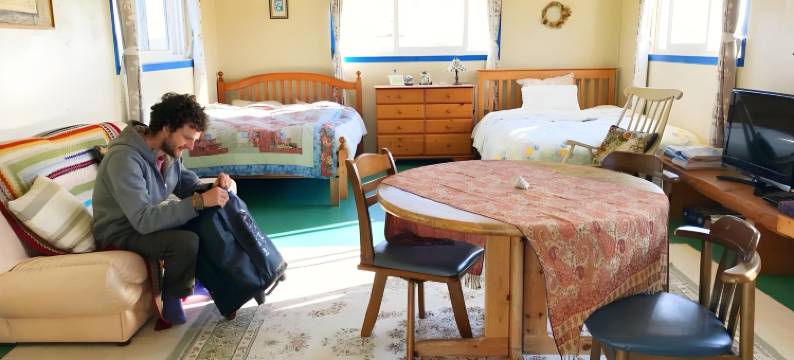 Heartn树旅馆(Guest House Heartn Tree)图片