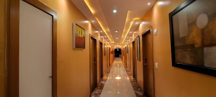 汉皮国际酒店(Hotel Hampi International)图片