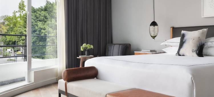 洲际集团-波兰科金普敦 Virgilio(Kimpton Virgilio Polanco by IHG)图片