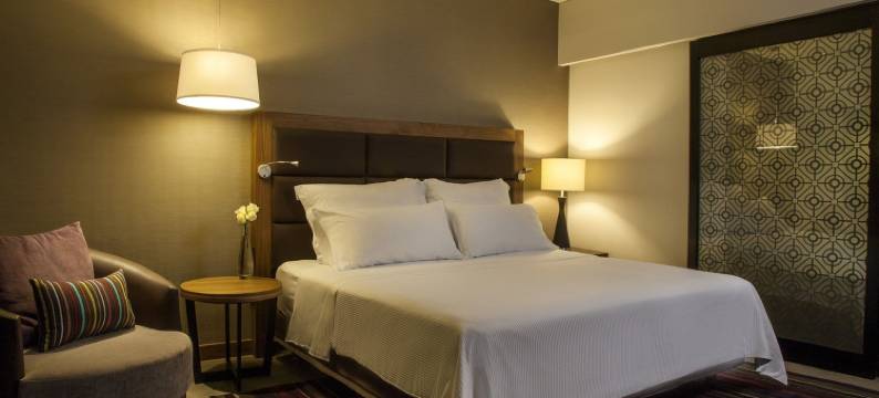 美洲嘉年华蒙特雷帕韦永M.酒店(Fiesta Americana Monterrey Pabellón M.)图片