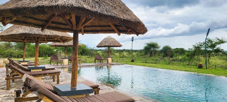 非洲Safari Serengeti Ikoma(Africa Safari Serengeti Ikoma Camping)图片