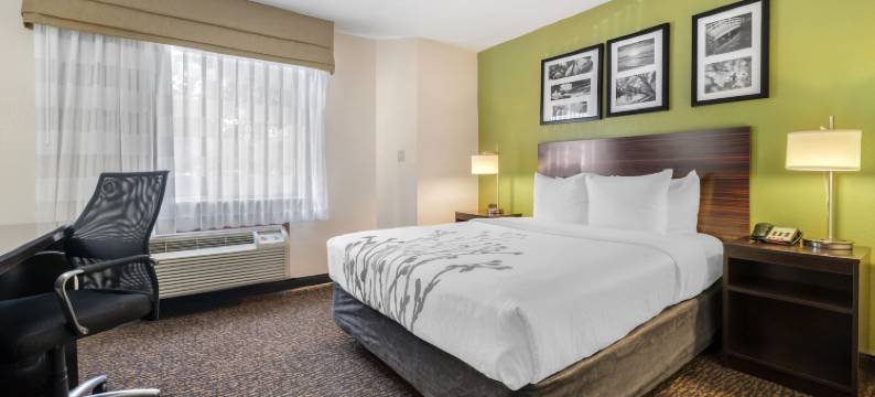 舒眠酒店内珀维尔 - 芝加哥(Sleep Inn Naperville - Chicago)图片