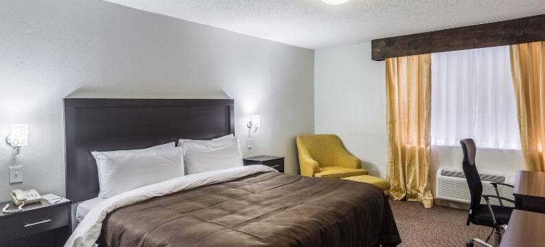 迈克艾伦机场附近凯隆酒店(Clarion Inn Near McAllen Airport)图片