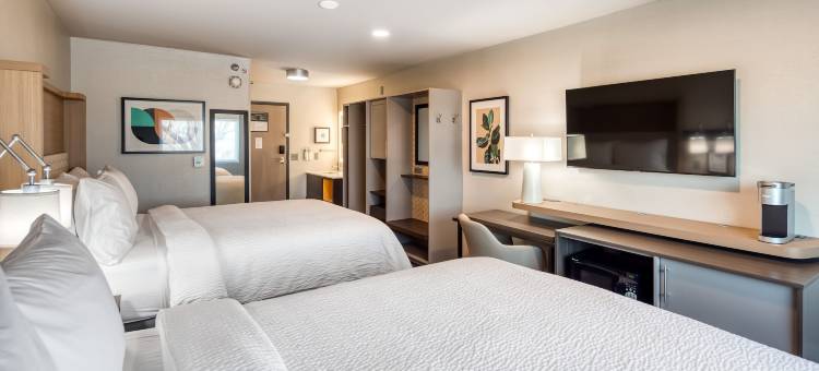 堪萨斯城市中心假日酒店(Holiday Inn KANSAS CITY - DOWNTOWN by IHG)图片