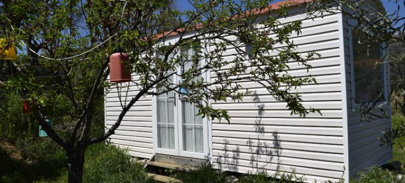 哈亚尔塔迪纳(Hayal Tadında)图片