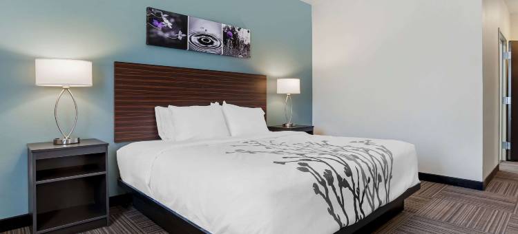 Sleep Inn & Suites Fort Walton Beach - Destin West图片