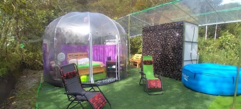 卡萨查帐篷酒店(Cassacha Glamping)图片