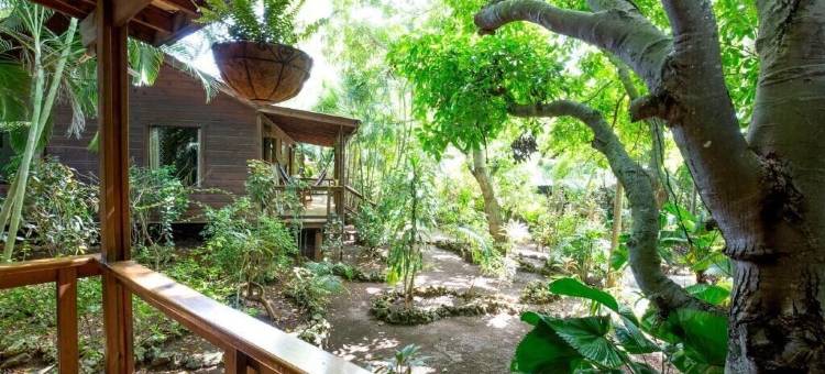 芒果旅馆度假村(Mango Inn Resort)图片