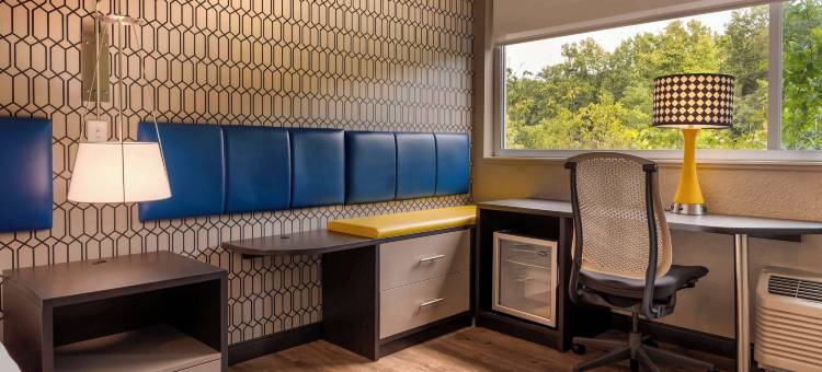 阿什维尔蓝岭山行车通道格洛酒店(GLo Best Western Asheville Tunnel Road)图片