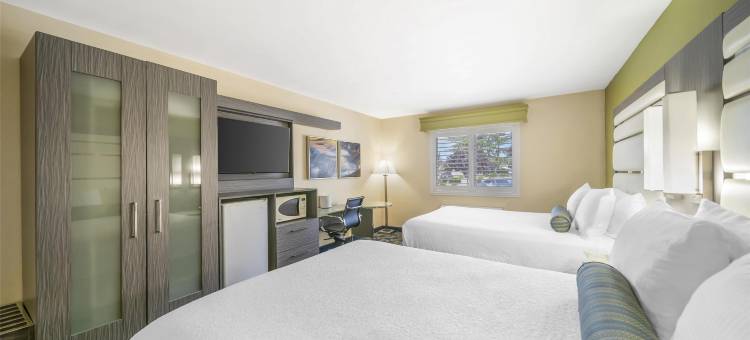 羚羊贝斯特韦斯特酒店(Best Western Antelope Inn  Suites)图片