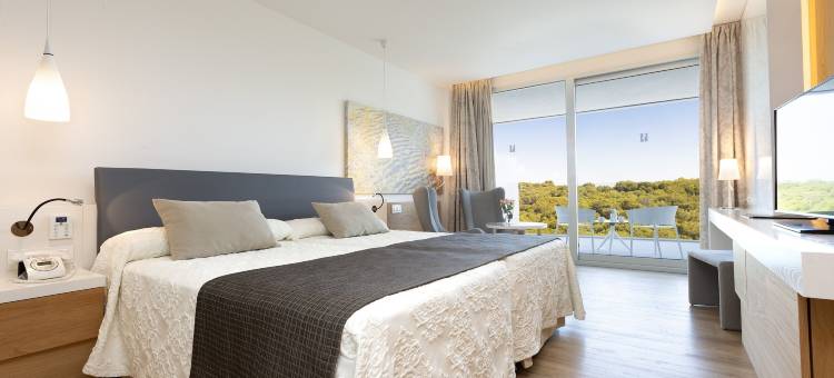 希波特尔斯帕尔马海滩宫殿及水疗酒店(Hipotels Playa de Palma Palace&Spa)图片