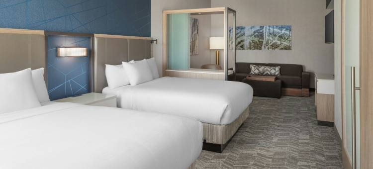 罗利加纳 SpringHill Suites 酒店(SpringHill Suites Raleigh Garner)图片