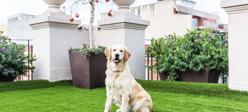 200露台客房酒店(200 Rooms & Terrace)图片