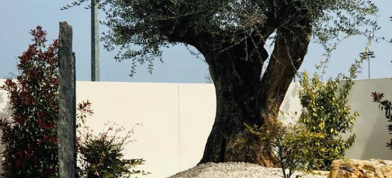 旺达尔盖绿洲酒店(L'Oasis Vendargues)图片