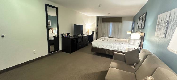 道奇堡舒眠套房酒店(Sleep Inn & Suites Fort Dodge)图片