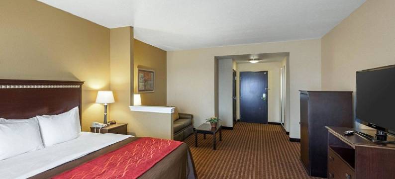 区域医疗中心舒适套房酒店(Comfort Inn & Suites Regional Medical Center)图片