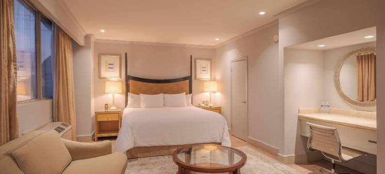 Balderrama酒店集合的圣塔安妮塔酒店(Hotel Santa Anita a Balderrama Hotel Collection)图片