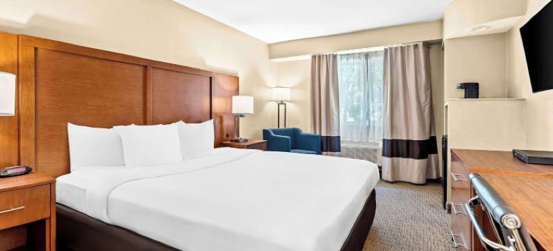 莫德斯托舒适酒店(Comfort Inn Modesto)图片