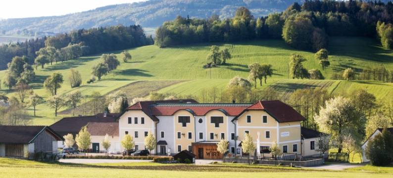 戈福瑞沃特兰德酒店(Landhotel Gafringwirt)图片