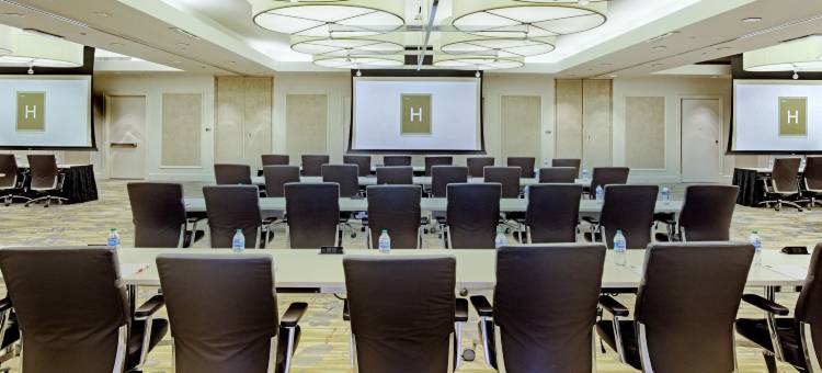 H酒店(The H Hotel)图片