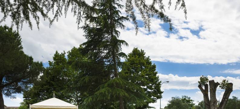 行政酒店(Hotel Executive)图片