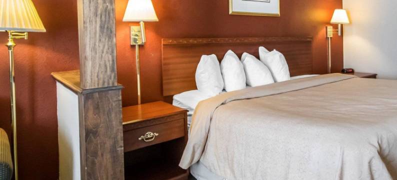 凯艺套房酒店(Quality Inn & Suites)图片