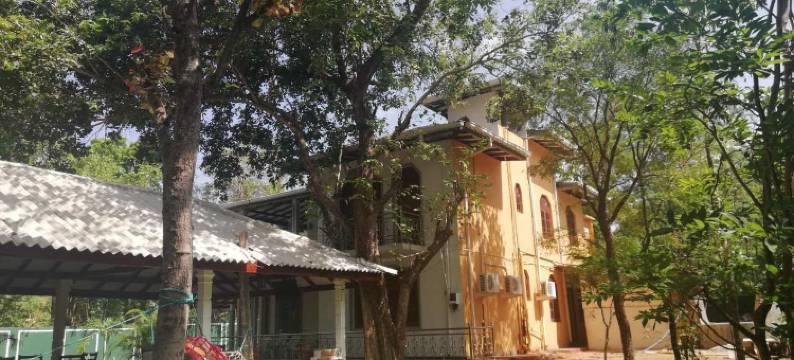 N.L.I. 旅馆(N.L.I. Guest House)图片