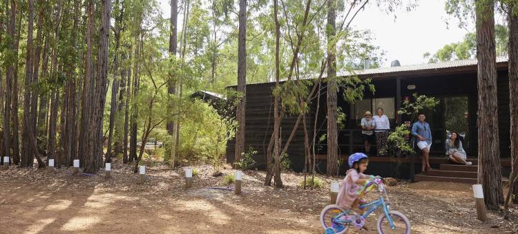 玛格利特河自然公园RAC假日公园(RAC Margaret River Nature Park)图片