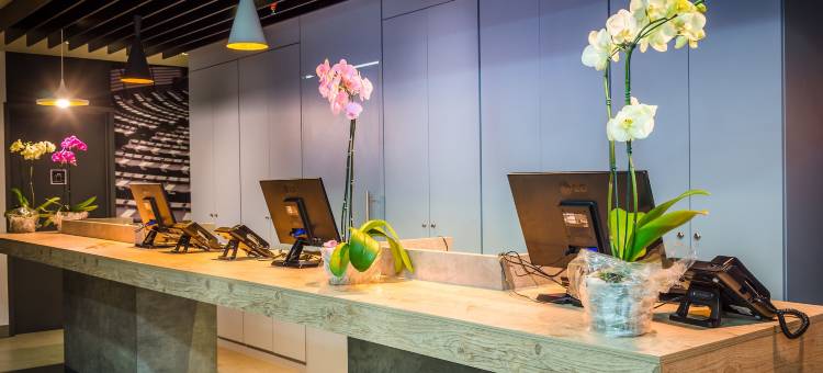 宜必思巴西阿雷格里港阿西斯酒店(Ibis Porto Alegre Assis Brasil)图片