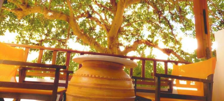 提诺斯遗产广场(Tinos Heritage Plateia)图片