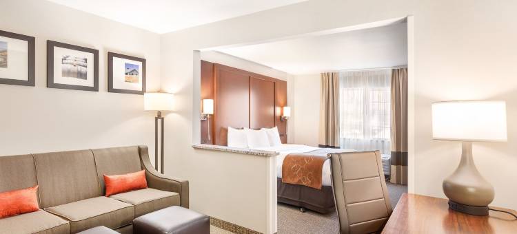 舒适套房雅吉瓦酒店(Comfort Suites Yakima)图片