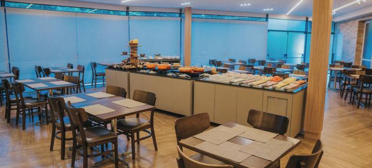 里贝朗普雷托马蒂兹维拉博伊姆酒店(Matiz Vilaboim Ribeirão Preto)图片