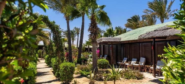 阿布达巴旅馆(Abu Dabbab Lodge)图片